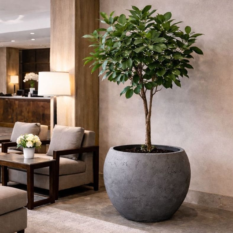 Orbello | Onyx Dusk – 70cm Extra Large Concrete Sphere Planter – 207L Round Plant Pot